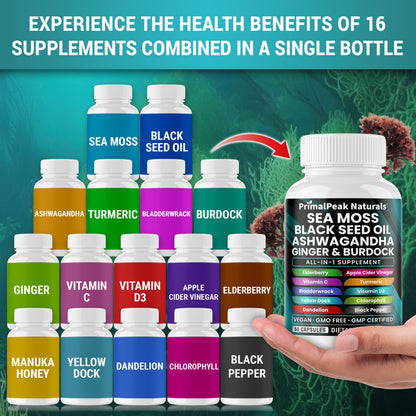Sea Moss Black Seed Oil Ashwagandha Ginger Burdock All-in-one Multi Minerals Vegan Capsules